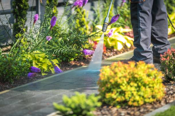 Best Dumpster Area Cleaning  in Selma, AL