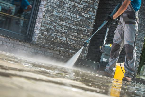 Best Soft Washing  in Selma, AL