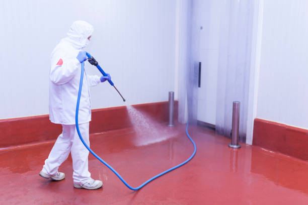 Best Spring Cleaning  in Selma, AL