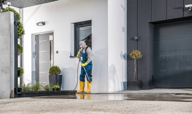 Best Fence Cleaning  in Selma, AL